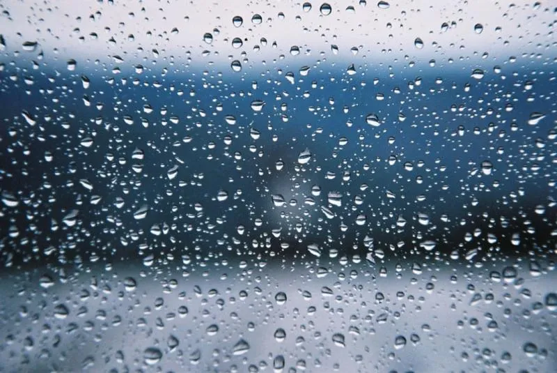 Co deszcz nam wyszeptał? Odkryj tajemnice książki, która porusza serca