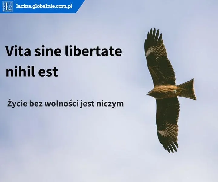 Mądrość zaklęta w słowach: inspirujące cytaty po łacinie o życiu