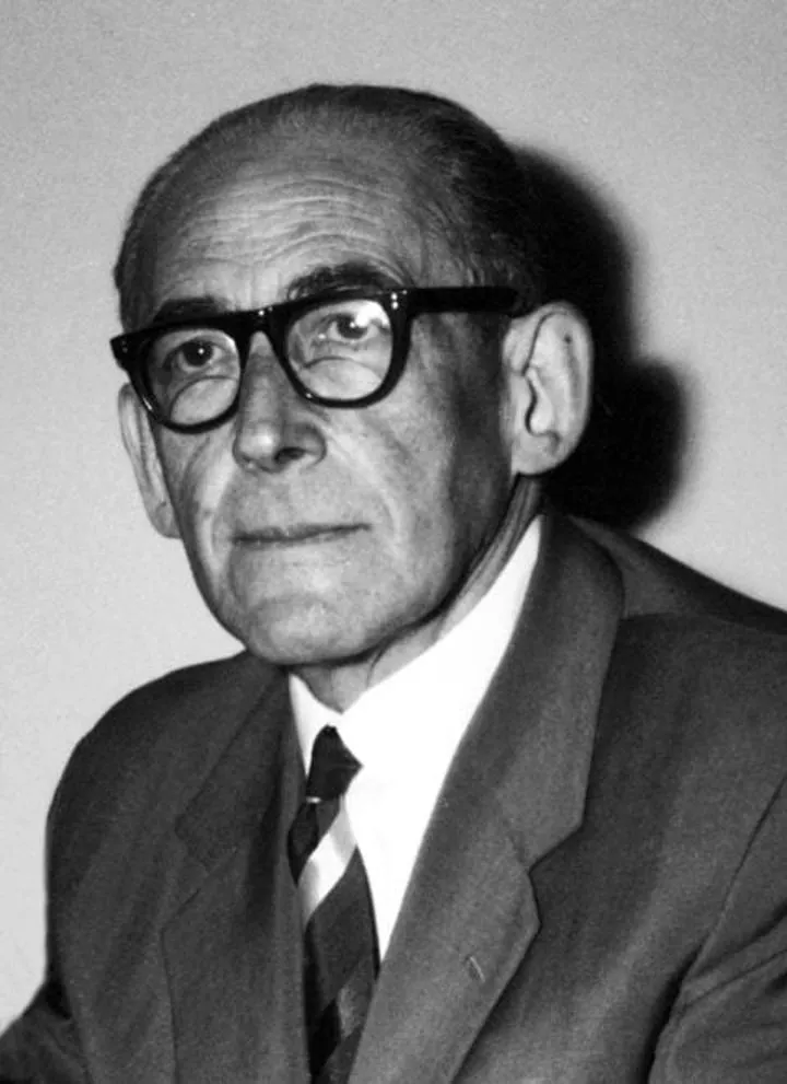 Analiza stylu i języka Brzechwy