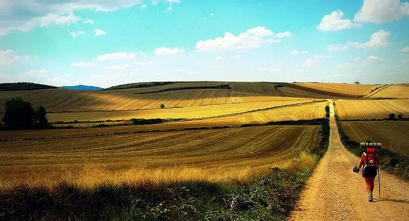 Analiza utworu Pielgrzym