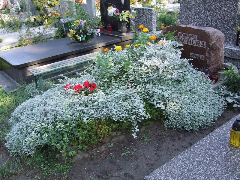 Biała Lokomotywa w poezji