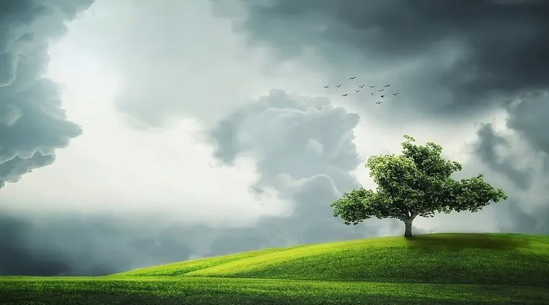 Najlepsze książki o klimacie