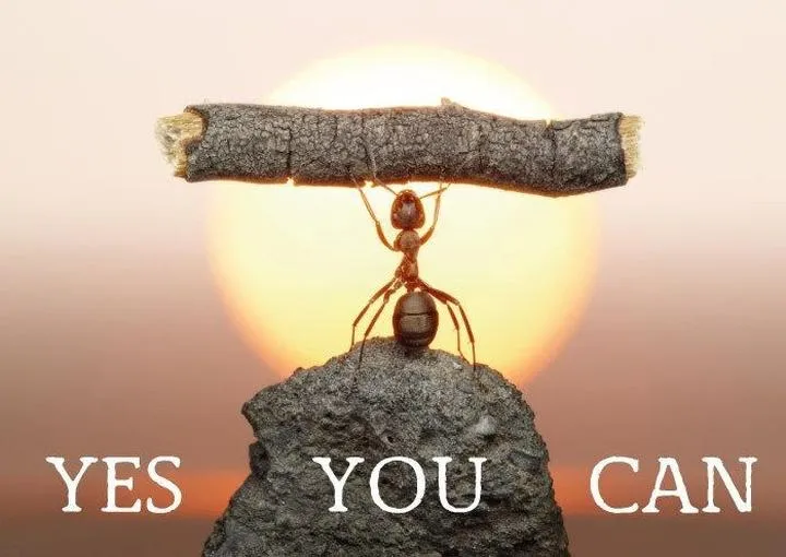 Pewność siebie i sukces