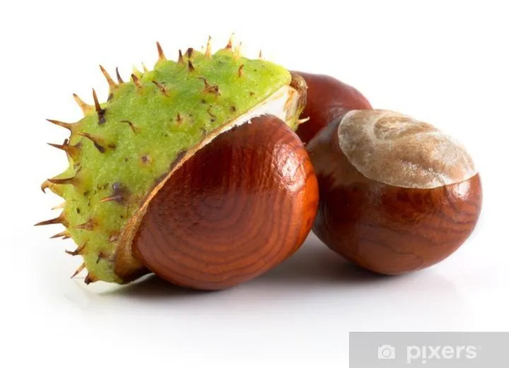 Poetyckie oblicza natury