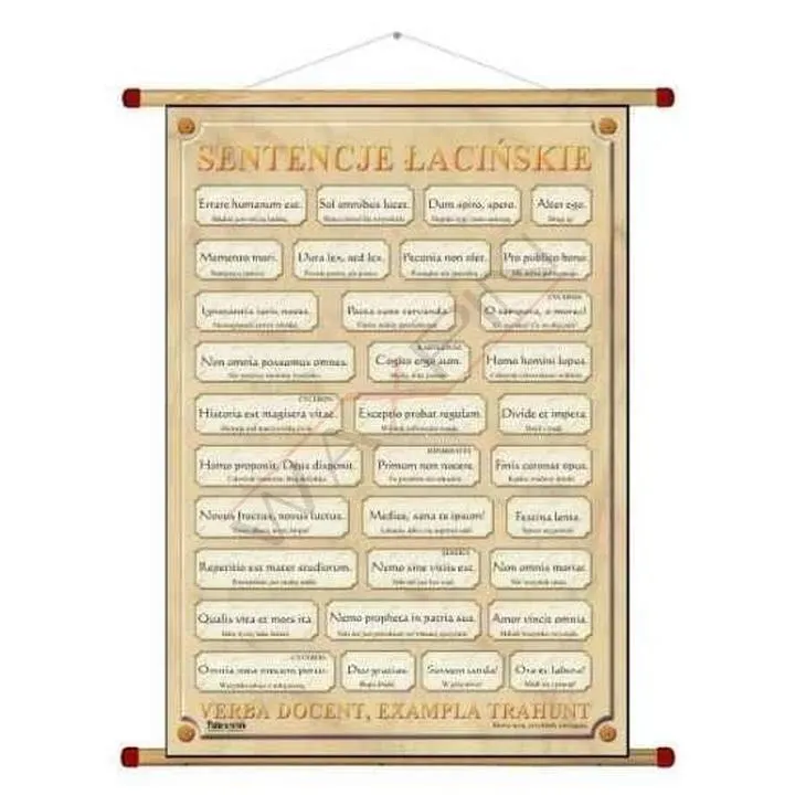 Ponadczasowe sentencje łacińskie