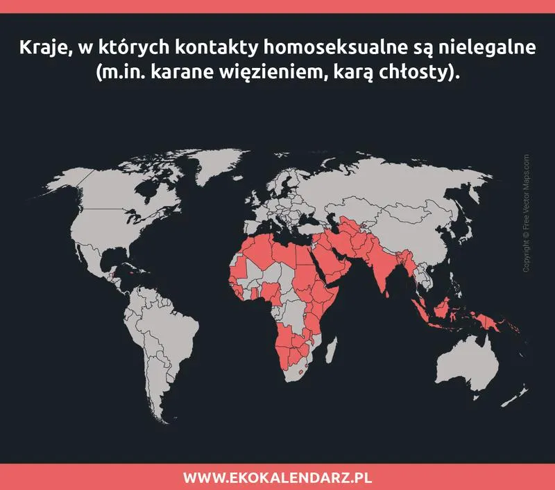 Rozwój emocjonalny młodych LGBT+