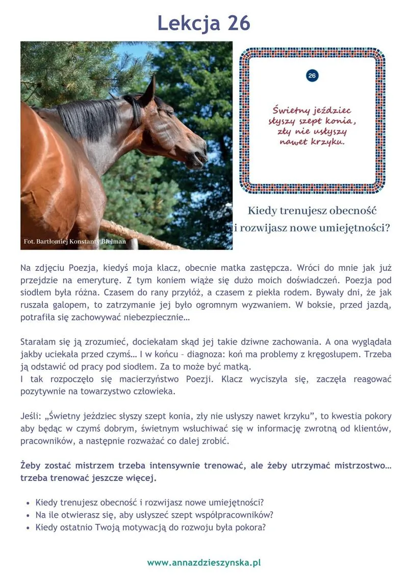 Symbolika koni w wierszach