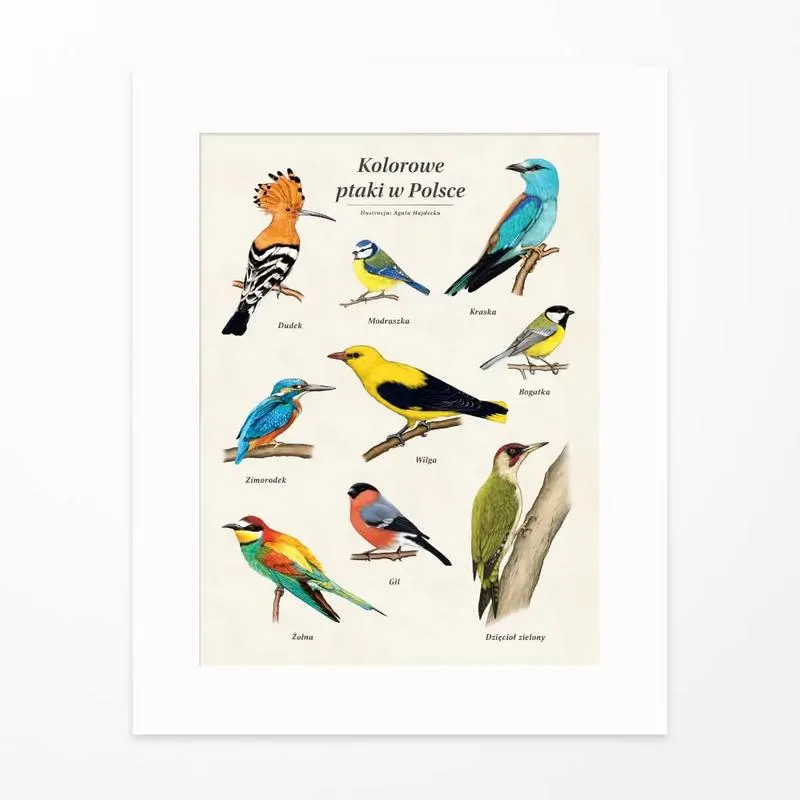 Symbolika ptaków w literaturze