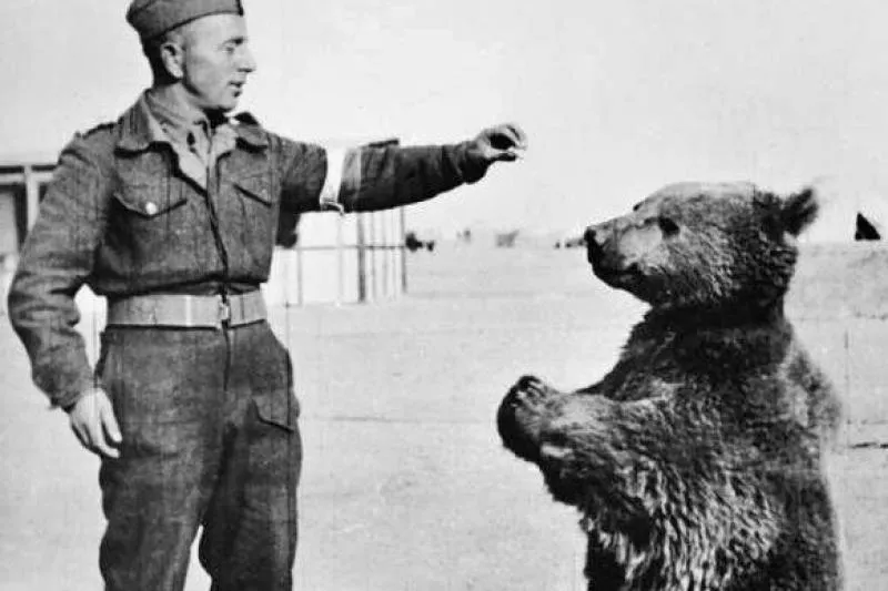 Wojtek strażak w pracy