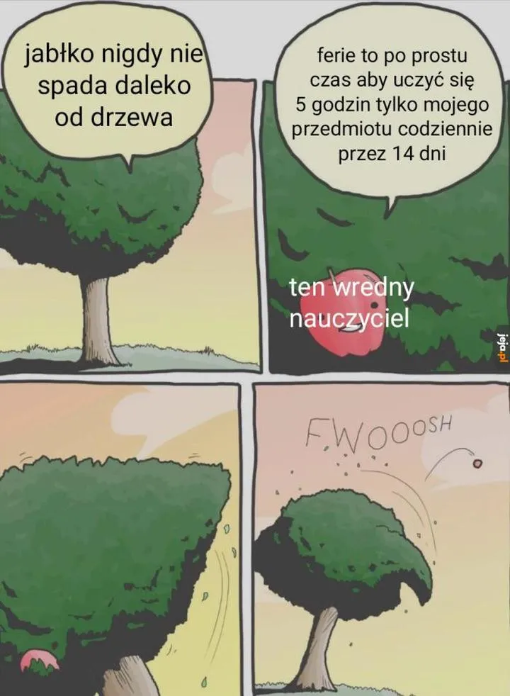 Wymagania konkursowe i kryteria wyboru